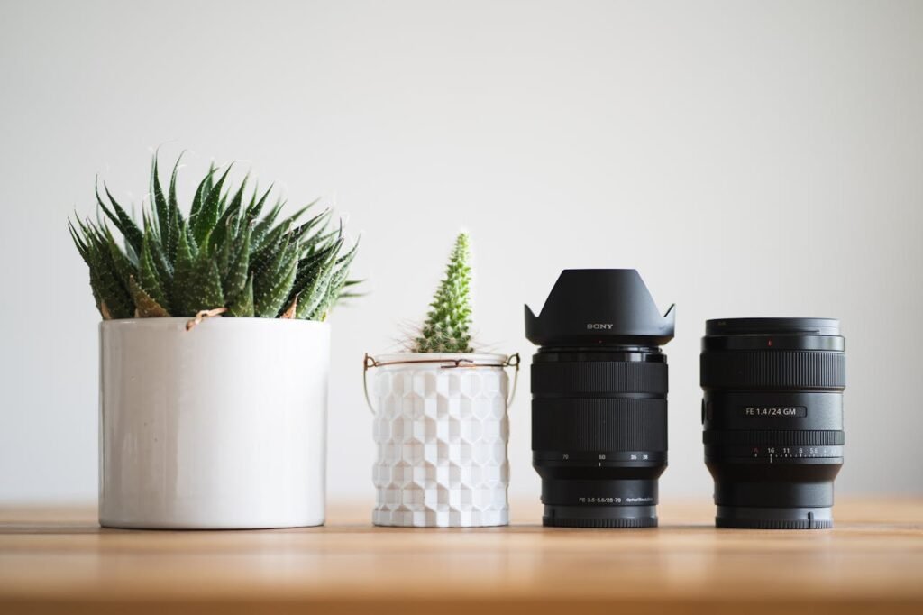 A modern still life featuring camera lenses and potted succulents on a wooden table.