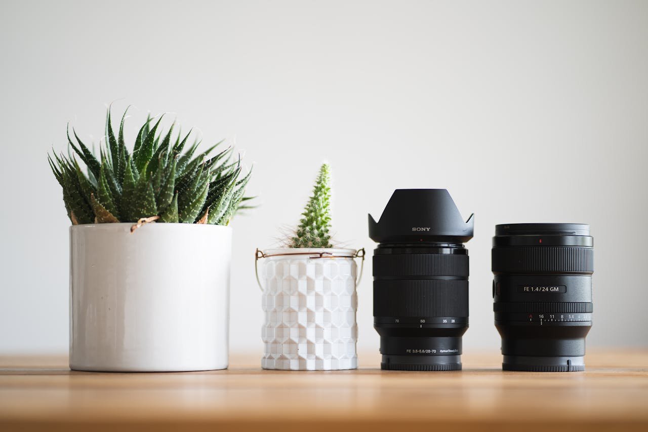 A modern still life featuring camera lenses and potted succulents on a wooden table.