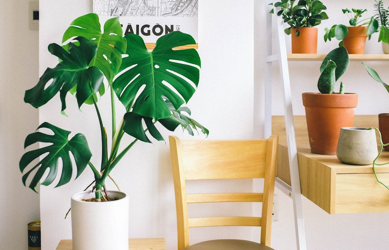 pexels photo 3153524.jpeg