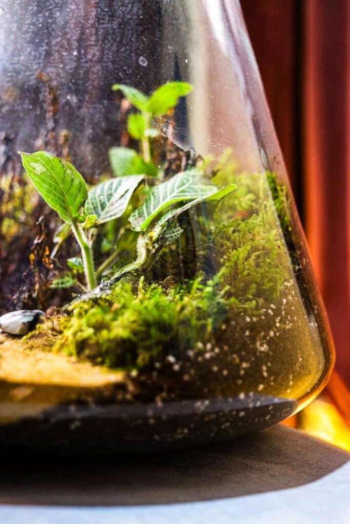 Mastering the First Impression: Your intriguing post title goes here pexels-photo-35451963.jpeg