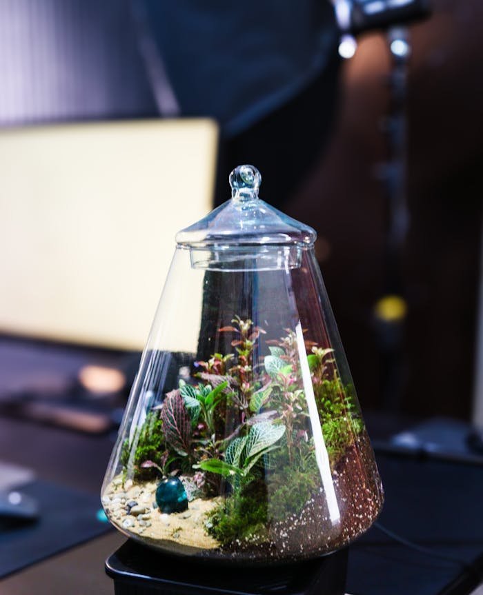 pexels photo 35451968.jpeg