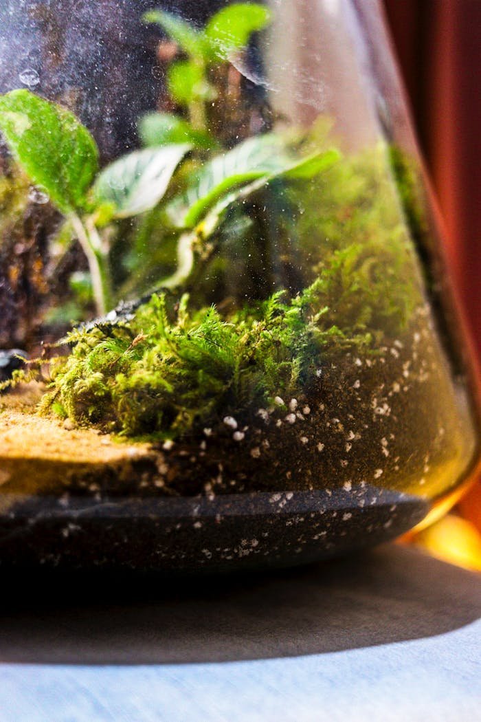 pexels photo 35451977.jpeg