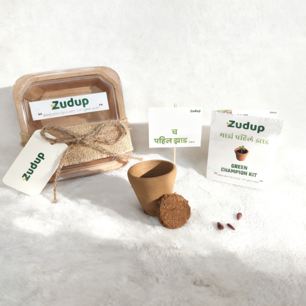 zudup green champion kit